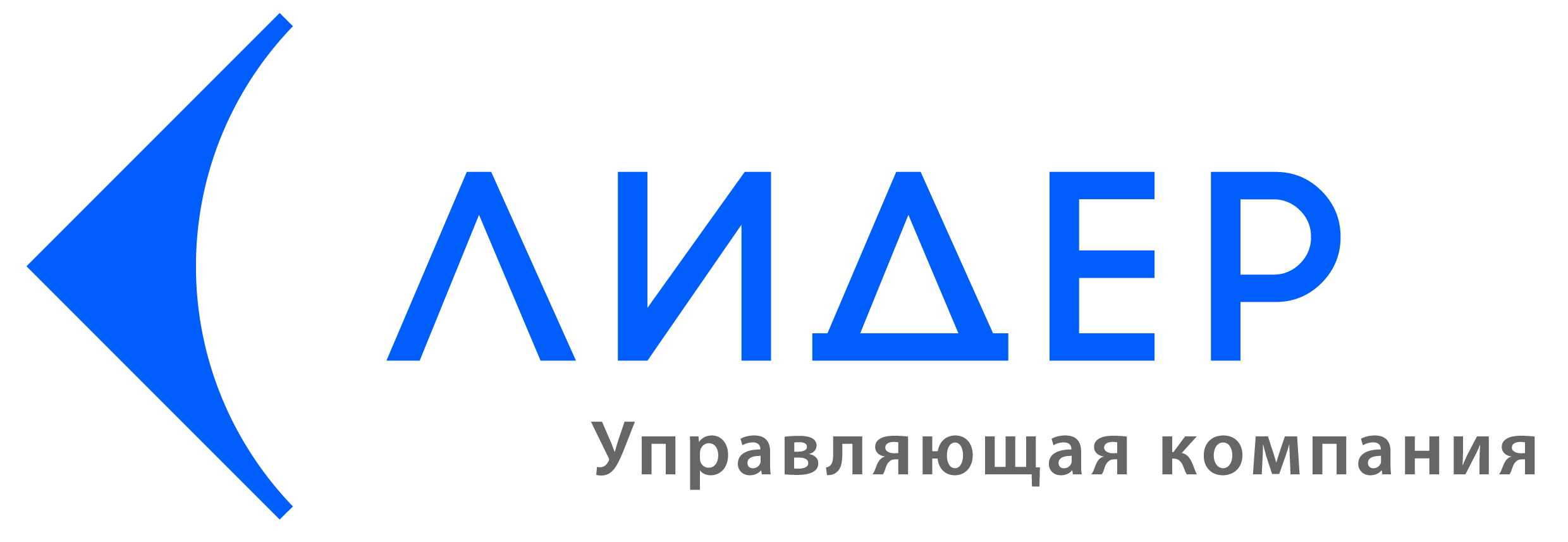 Управляющая компания 6. Лидер (управляющая компания). Логотип компании Лидер. Лидер инвестиционная компания. ООО УК Лидер.