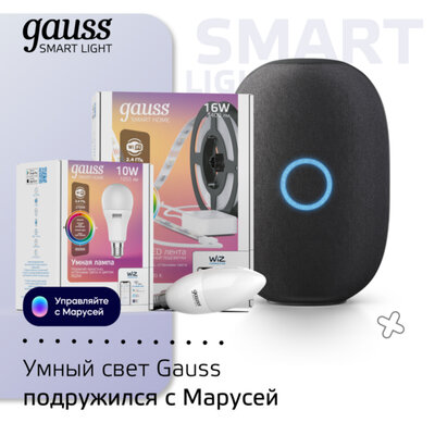    Gauss - Mail.ru Group