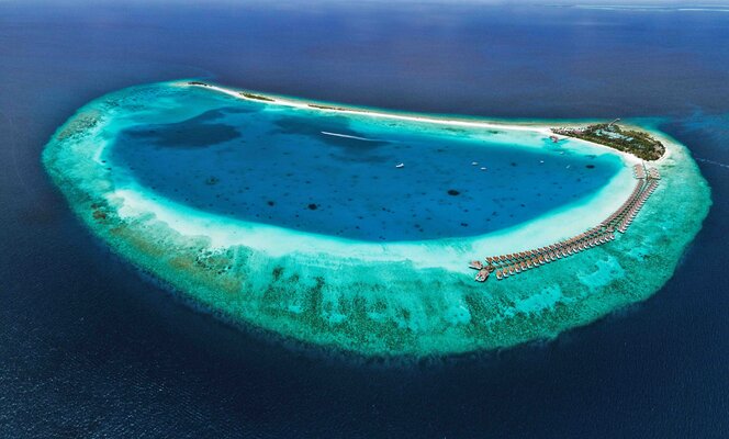  Love : Wine&Crab x Finolhu Maldives